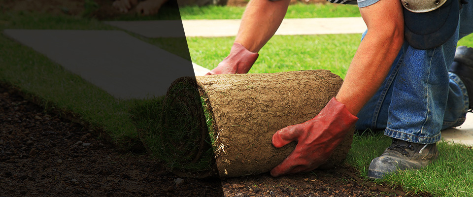 Pontotoc Landscapers